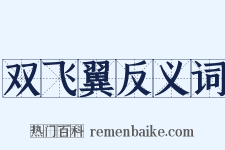 双飞翼反义词是什么意思的图片